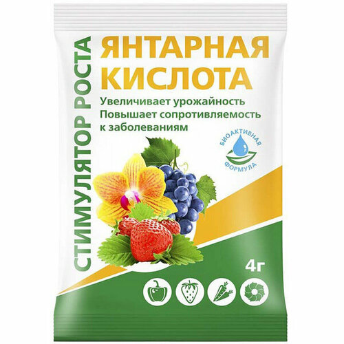 ������ ������ ��������� ����� �������� ������� 4� ����