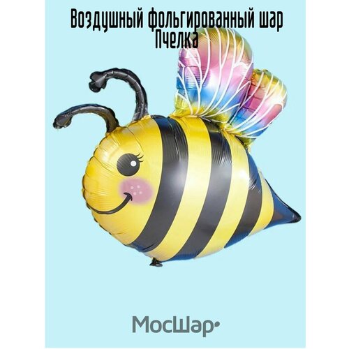 ������ ������ ��������� ��� �������������� ������, 79 ��, ������ ����