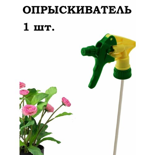 ������ ������ ������������� - ������������� ������� 1 ��. ����