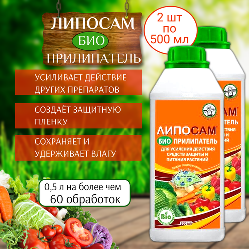 ������ ������ ��������� ����������� ������� 500 ��, 2 �� ����