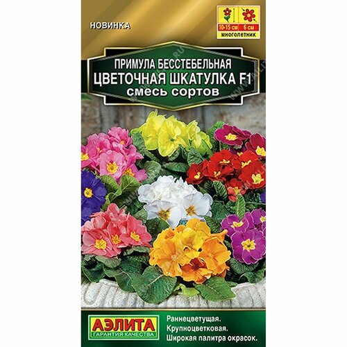 ������ ������ ������ ������� ��������� �������� F1, ����� ������, �����������, (������) 5�� ������� ����� ����