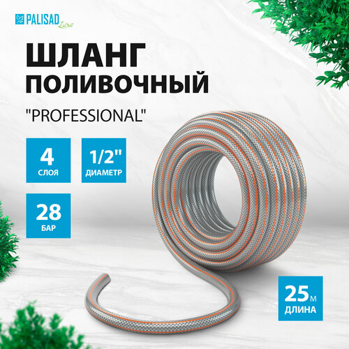 ������ ������ ����� PALISAD Professional, 1/2