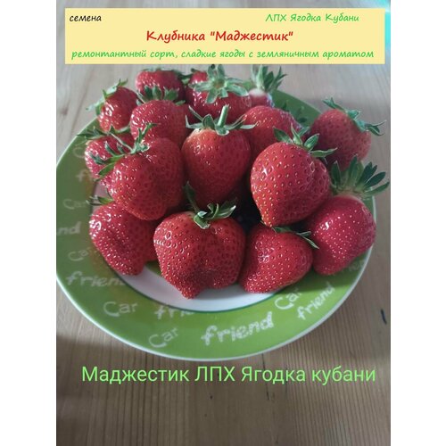 ������ ������ �������� 