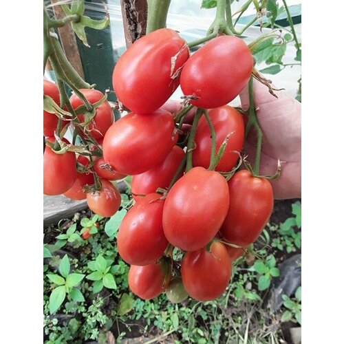 ������ ������ ������������� ������ ������ ������ �������� ������� ����