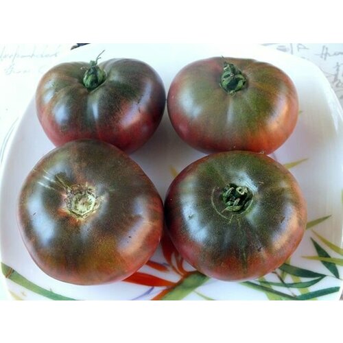 ������ ������ ������������� ������ ����� ������ ����