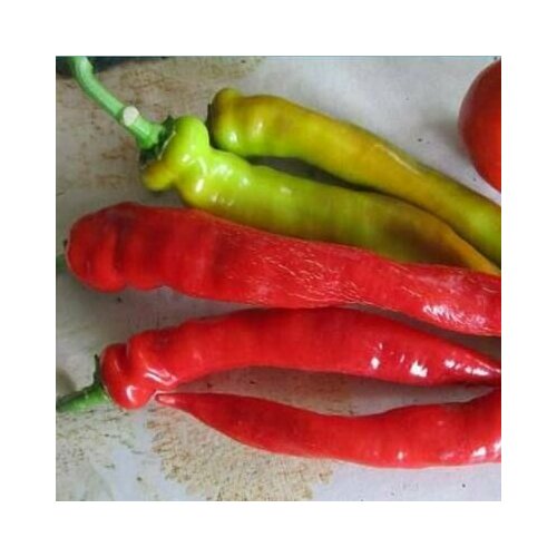 ������ ������ ������������� ������ ����� ������� ����� ����