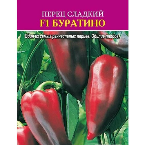 ������ ������ ������������� ������ ����� �������� �������� ����