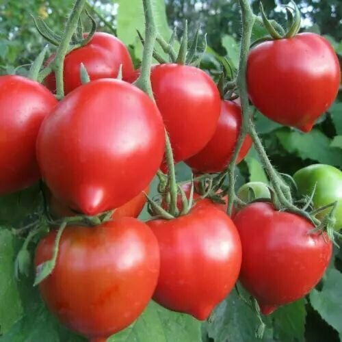 ������ ������ ������������� ������ ������ ������ ����