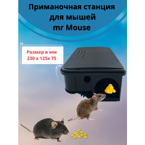  Mr. Mouse       -     , -,   