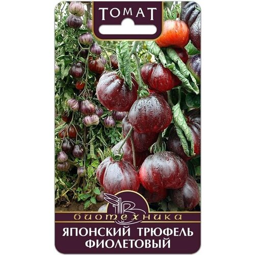 ������ ������ ����� �������� ������� ���������� ����������/ 20 ����� � 1 �������� ����