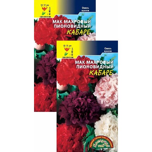 ������ ������ ��� �������� ����������� ������ ����� (0,1 �), 2 ������ ����