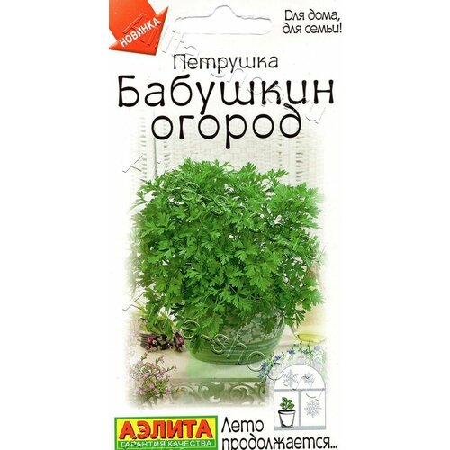 ������ ������ ������ �������� ��������� ������ 