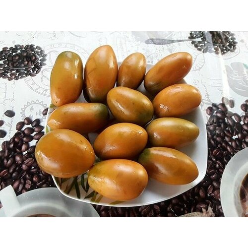 ������ ������ ������������� ������ ������ ���� ���� ����� ����