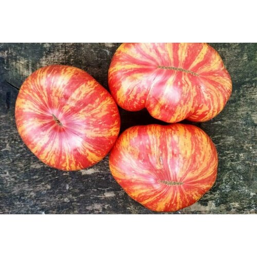 ������ ������ ������������� ������ ����� �������� ���� ����