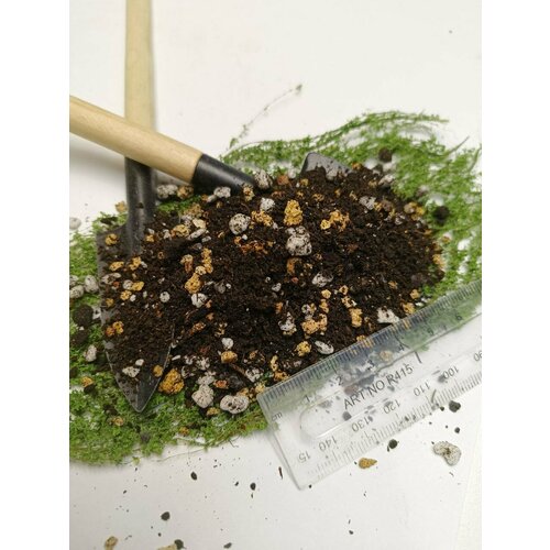 ������ ������ �������� 