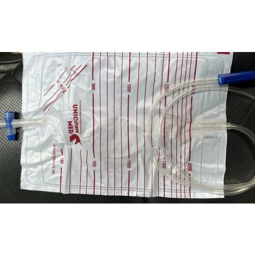 ������ ������ ������������ 