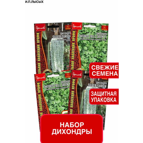 ������ ������ ����� ����� �������� ����