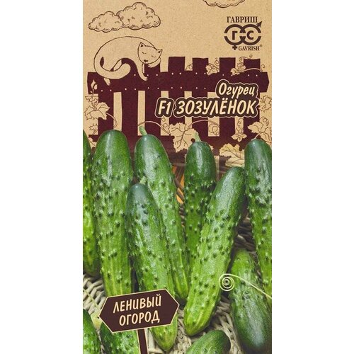 ������ ������ ������ ������ ��������� F1 10�� ������������������ ������ (������) ������� ������ ����