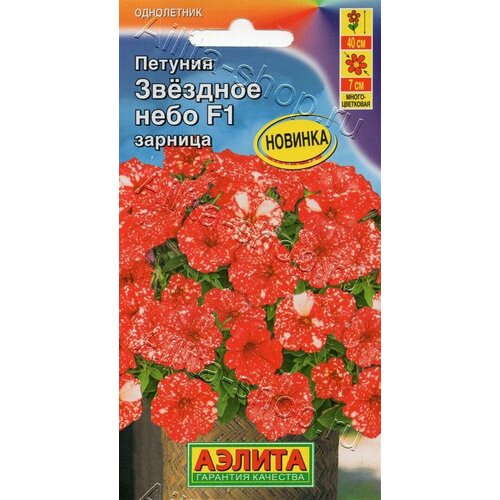 ������ ������ ������� �������� ���� ������� F1. ������ ( 3 �������� ) ����