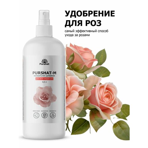 ������ ������ ��������� ��� ��� ����� ��� ��������� � ������� ���, ��� ������ 500 �� ������ ����