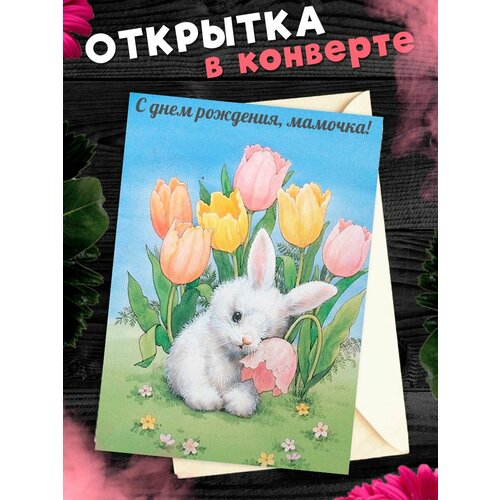 ������ ������ �������� �6 � �������� � ���� ��������, ����! ����