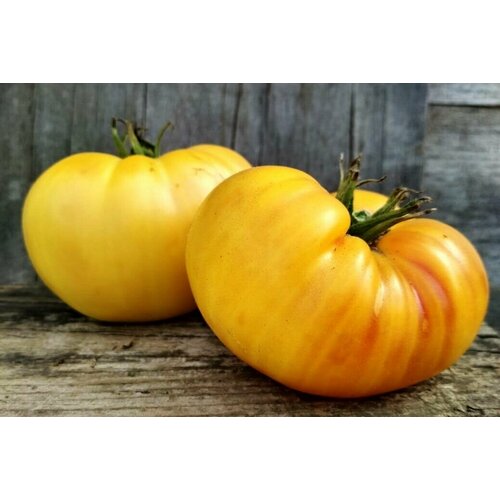 ������ ������ ������������� ������ ������ ������� ������ ����� ����