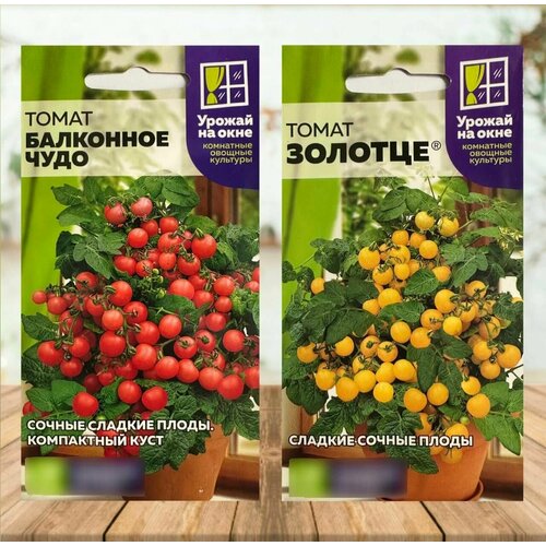 ������ ������ ����� ����� ������� ��������� ��� ������� � ������� 2 ��. ����