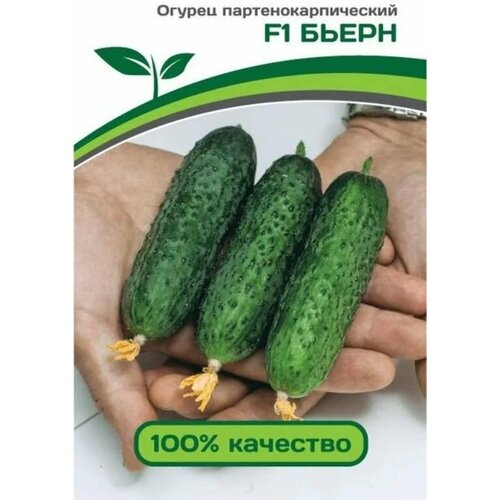 ������ ������ ������������� ������ ������ ����� F1 ����