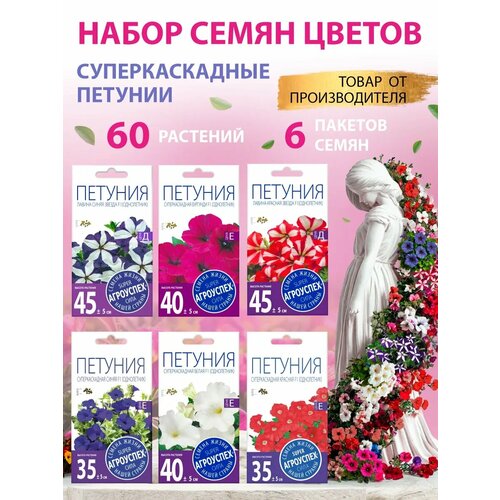 ������ ������ ������ ������ ������� ����� 6 �� ����