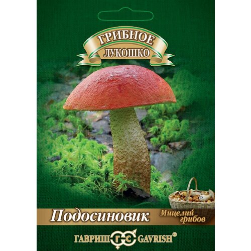 ������ ������ ������� ����������� �� �������� ���������, 15��, ������ ����