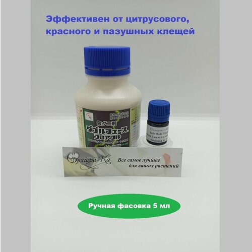 ������ ������ ���� ���� �������� 5 �� ������ (������ �������) ����