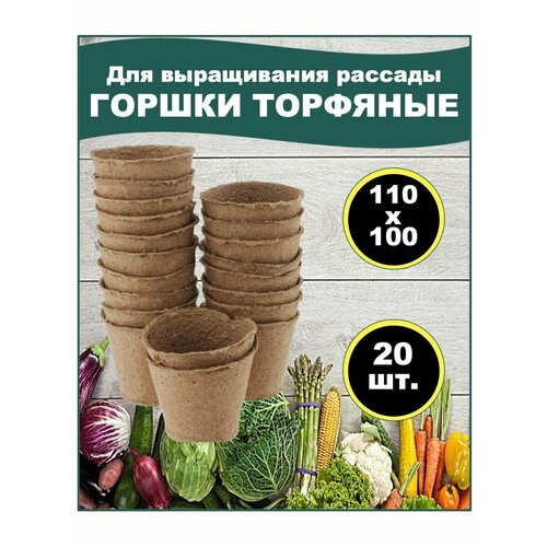 ������ ������ �������� ������ ��� ����������� ������� 110�100��, 20 �� ����