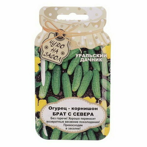 ������ ������ ������ ������ 