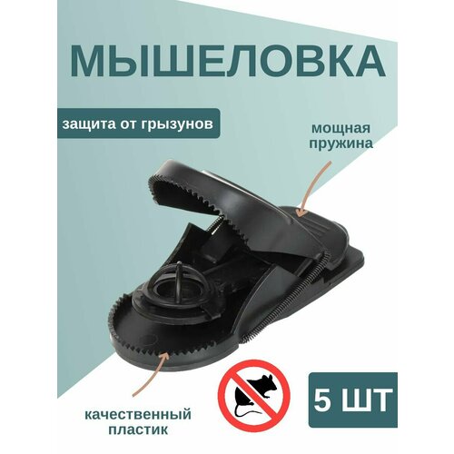 ������ ������ 5 ��������� - ������ ������������ ������� ��� ����� ����