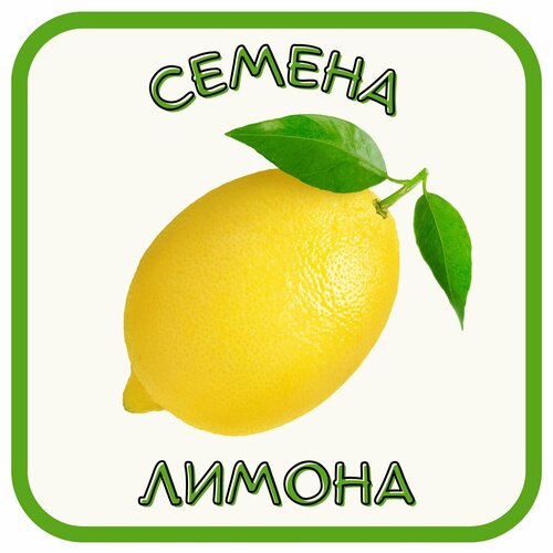 ������ ������ �����. ������ ������. ����