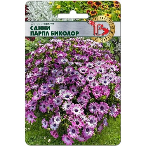 ������ ������ ������ ������������� 