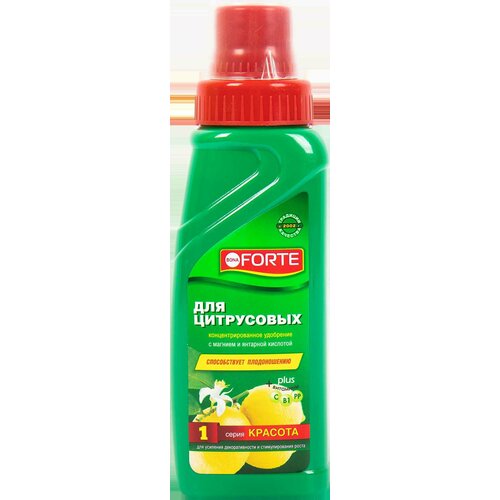 ������ ������ ��������� �Bona Forte� ��� ���������� �������� 0.285 � ����