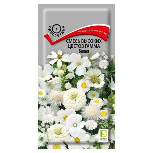 ������ ������ ������ ����� ������� ������ ����� ����� ���������� 0,5 ��. ����