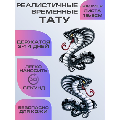 ������ ������ ���� ���������� ��������������, ��������� ���� ����� ����