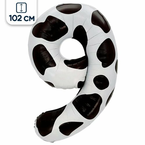 ������ ������ ��������� ��� ����� 9, ��������� �����, 102 �� ����