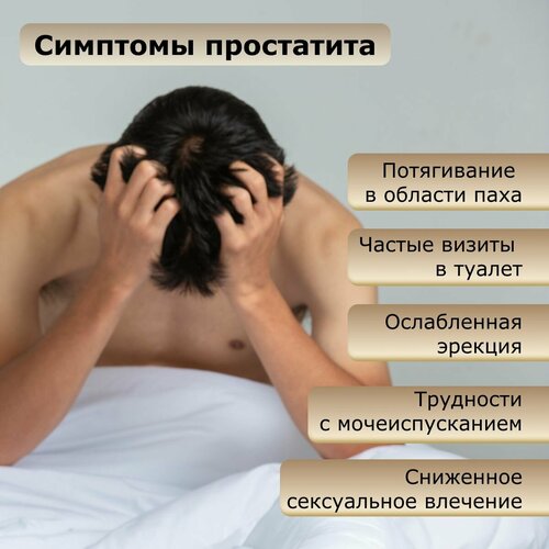 ������ ������ ������������ �������� 