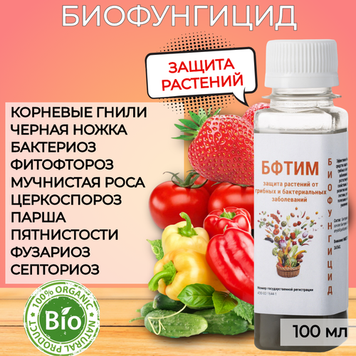 ������ ������ �������� ������ �������� �� �������� ������������� �������� ����