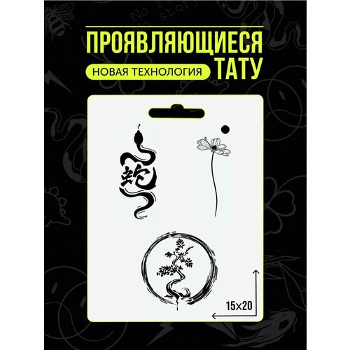 ������ ������ ���� ���������� �������������� �������� ����