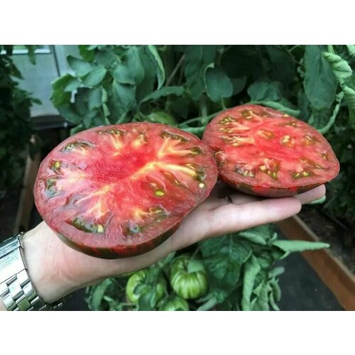 ������ ������ ������������� ������ ������ ��������� ������� ����