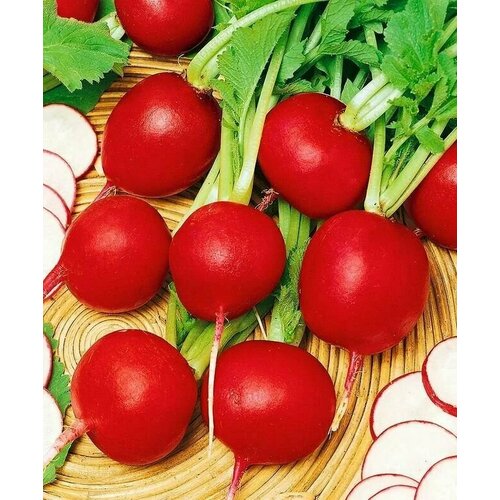 ������ ������ ������������� ������ ������ �������� ��� F1 ����