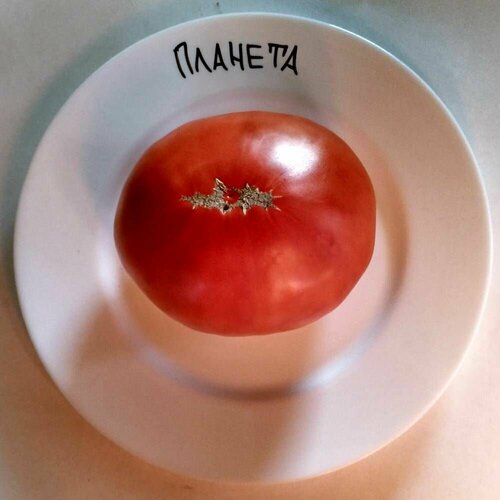 ������ ������ ������������� ������ ������ ������� ����