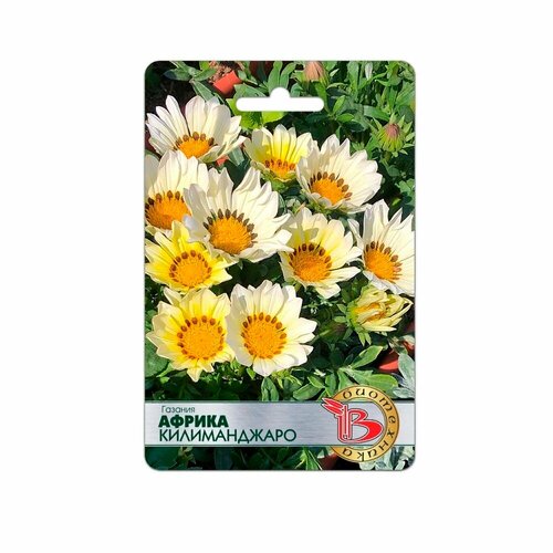 ������ ������ ������ ������� ������ ������������ 7�� 20�� (����������) ����