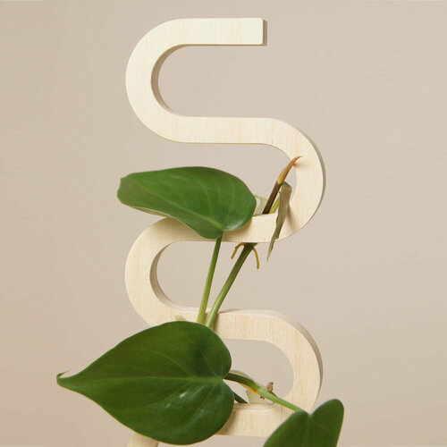 ������ ������ ����� ��� ��������� �������� 