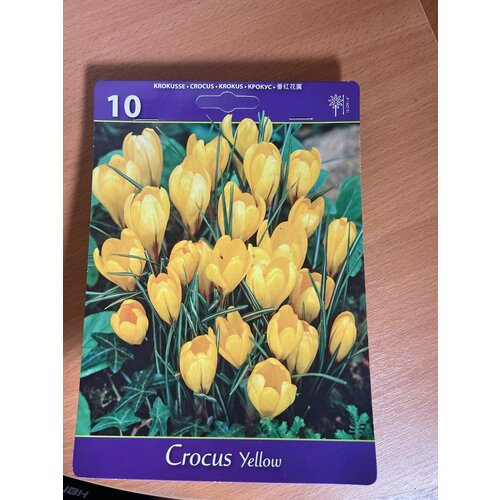 ������ ������ ������� ������ �������� ����