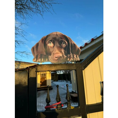 ������ ������ ����� �� ������� ��� ����, ���� 